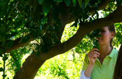 Lauren Sudekum / Marketing and PR Coordinator / Great Performances