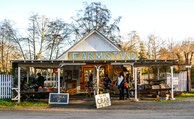 Kristin Cole / Improvisational Culinary Artist, Freelance Event Planner / Chef Coordinator / wildsoul