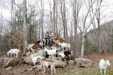 Louisa Conrad & Lucas Farrell / Owners / Big Picture Farm