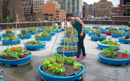 Anthony Reuter / Volunteer Coordinator / Just Food