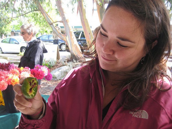 Teresa Mares / Assistant Professor of Anthropology / University of Vermont