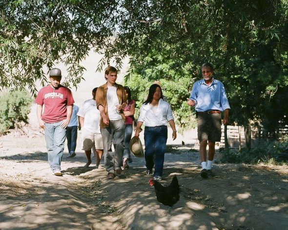 David Corson-Knowles / Impact Entrepreneur / Freelance Consultant