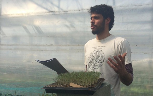 Jason Grauer / Founder / pickacarrot.com