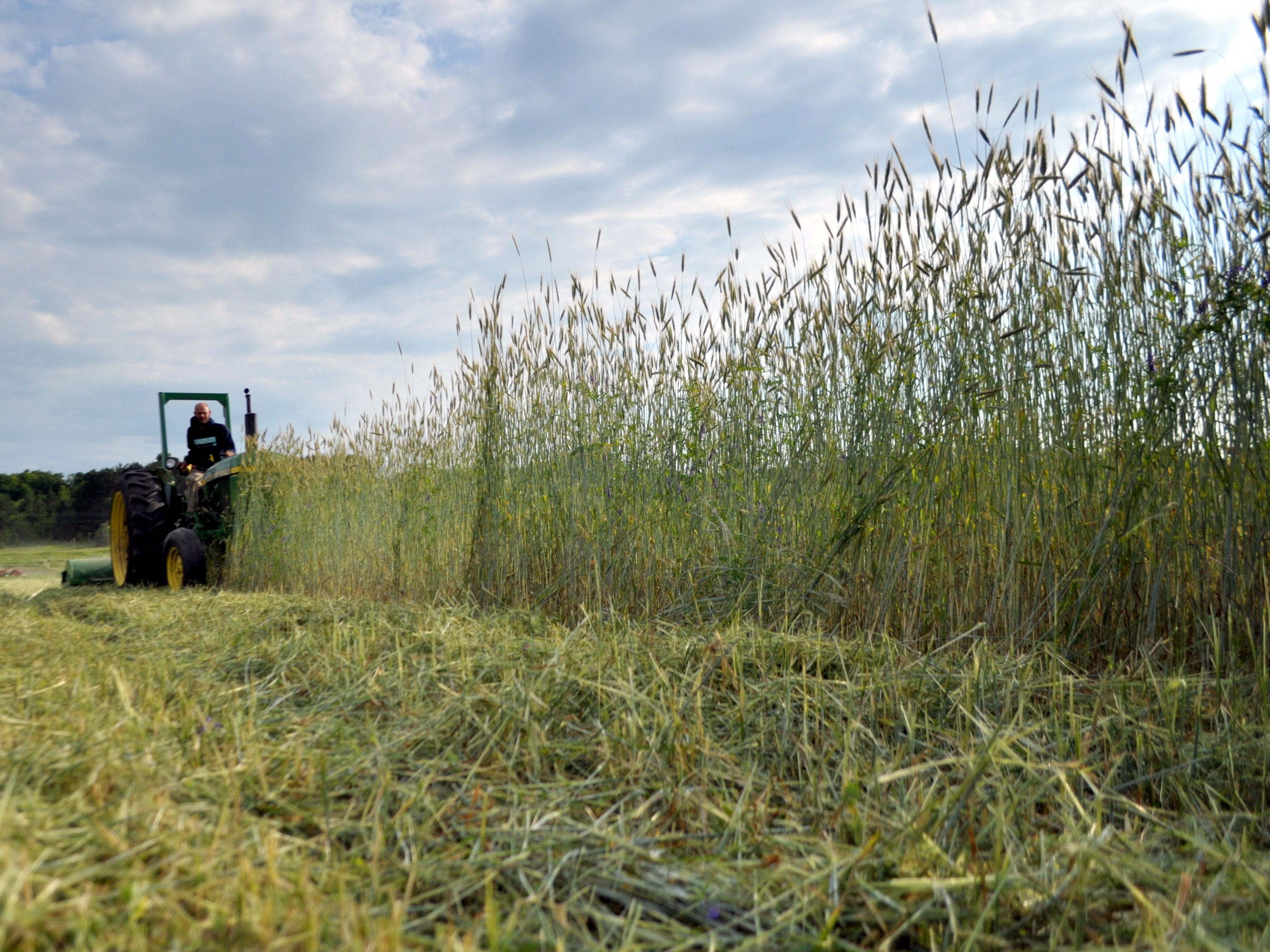 Mary Brower / Farmer / Blue Stem Farm