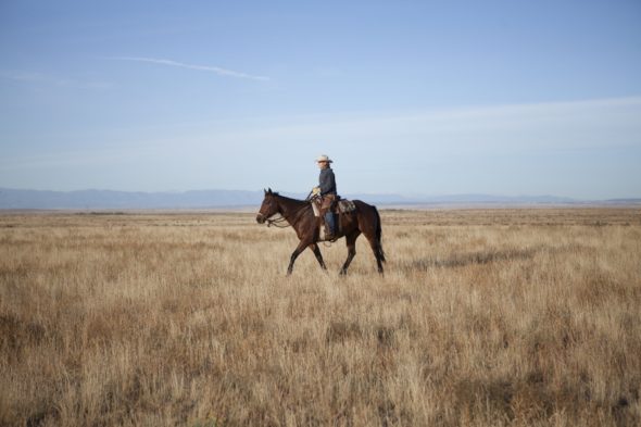 Amy Wright / Grazing Manager / McAuliffe Ranch