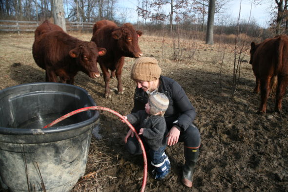 Allison Toepp / Co-Owner & Farmer / Back Paddock Farm