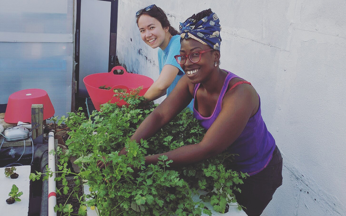Yemi Amu / Owner + Farmer / Oko Farms