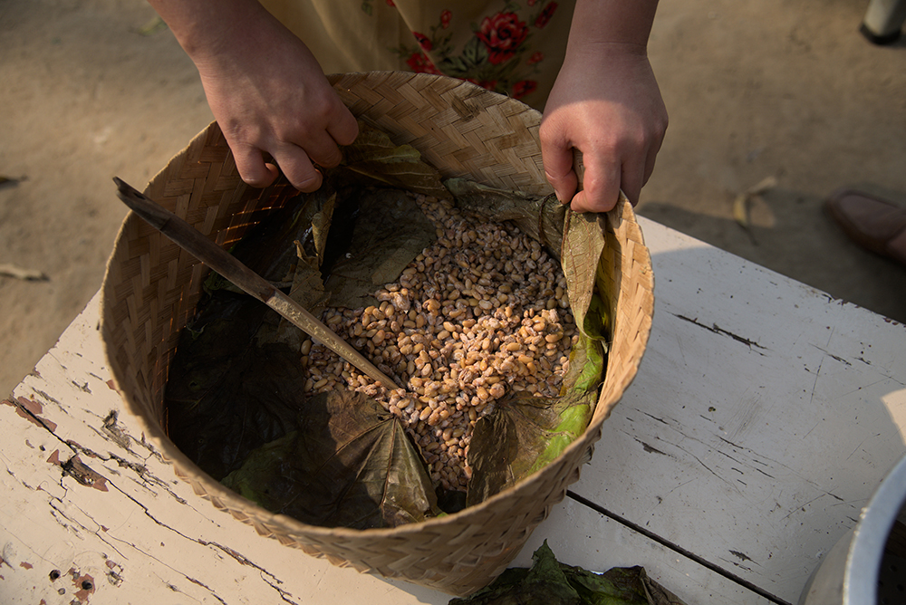 A woman's hands adjust the leaves used to line a woven basket of Axone as it is prepared for fermentation.