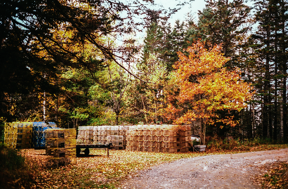 A load of lobster traps hauled for the season sits in a yard on South Shore Road.
